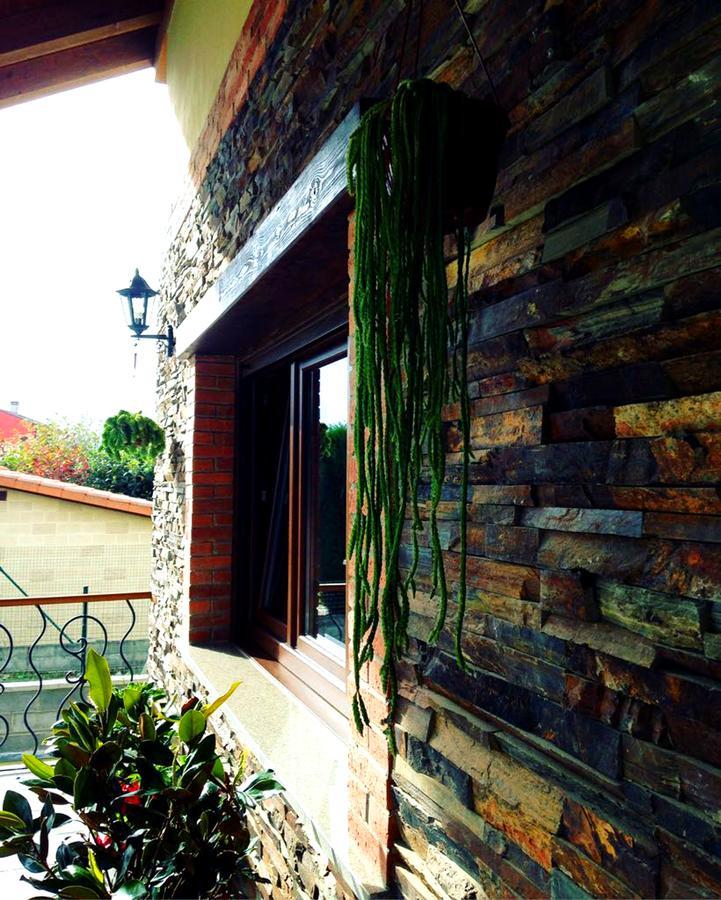La Aguilerina Apartamentos Rurales Oviñana Exterior foto